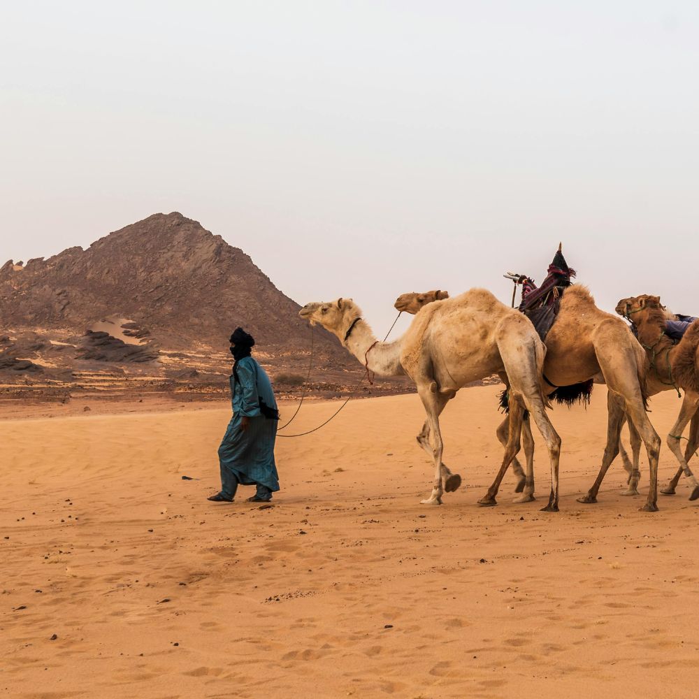 The Algeria of Borders : The Feeling of National Belonging Put to the Test by the Border : Social Issues in the Border Towns of Southern Algeria
